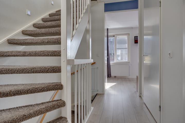 Foto 22 van Zanglijster 61