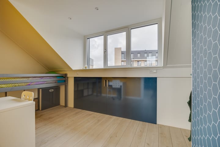 Foto 25 van Zanglijster 61