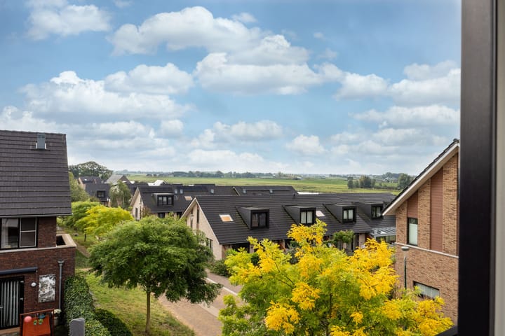 Foto 27 van Zanglijster 61