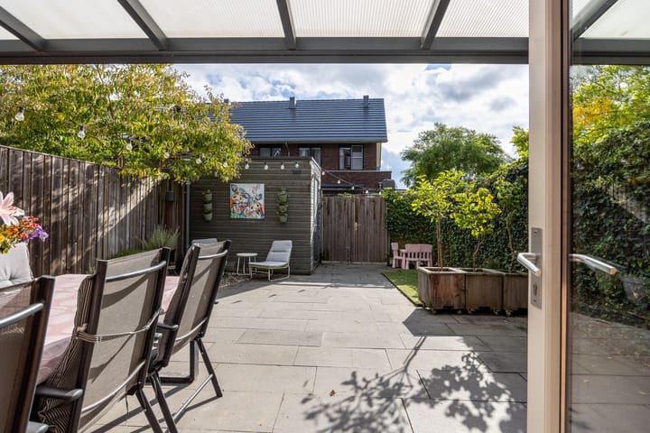 Foto 28 van Zanglijster 61