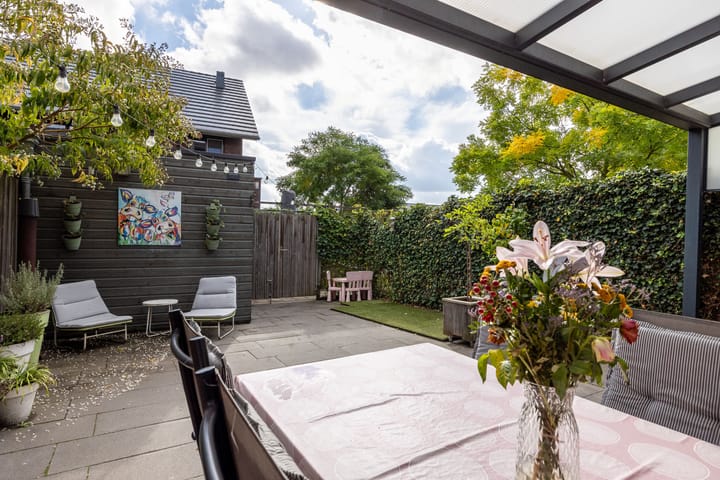 Foto 29 van Zanglijster 61