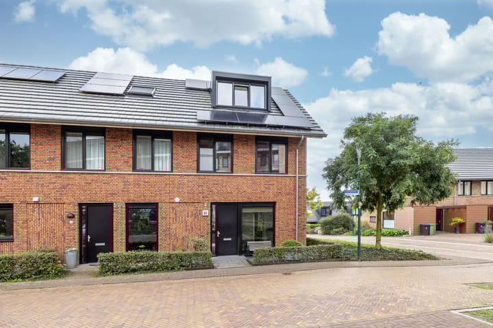 Foto 33 van Zanglijster 61