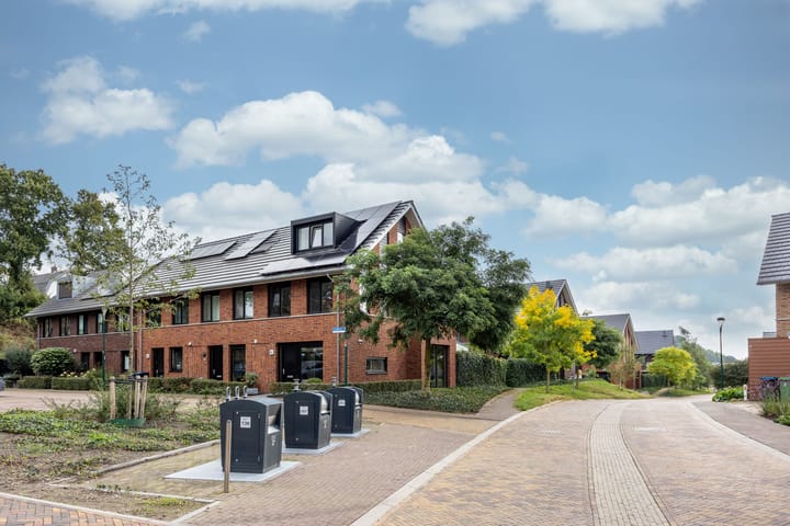 Foto 34 van Zanglijster 61