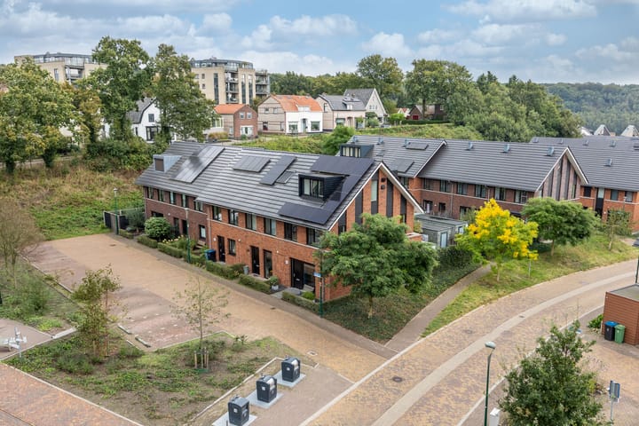 Foto 35 van Zanglijster 61