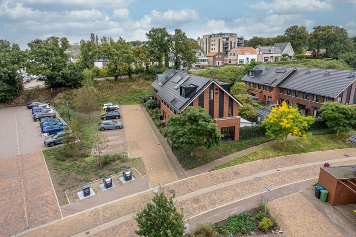 Foto 36 van Zanglijster 61