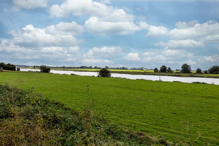 Foto 37 van Zanglijster 61