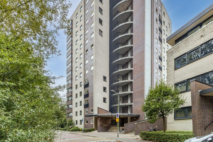 Foto 1 van Wimbledonpark 237