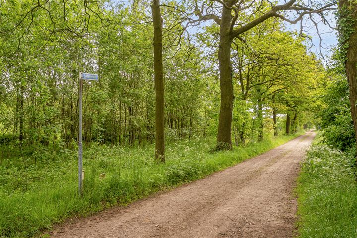 Bekijk foto 24 van Kersendijk 2-G