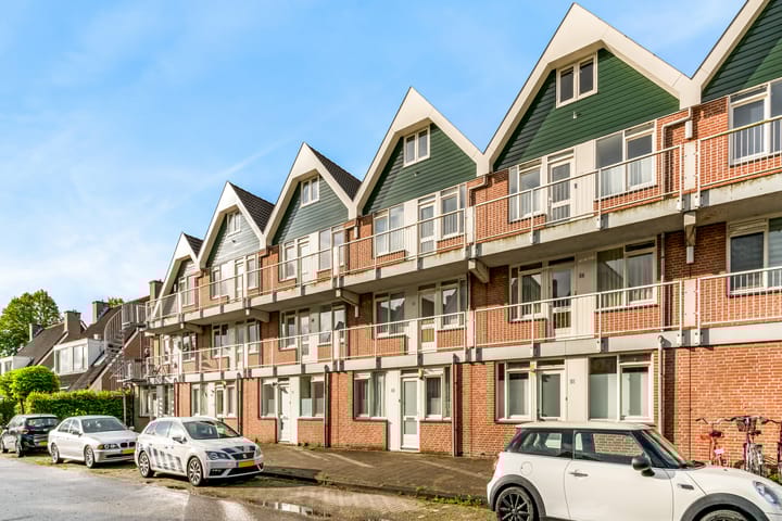 undefined main image