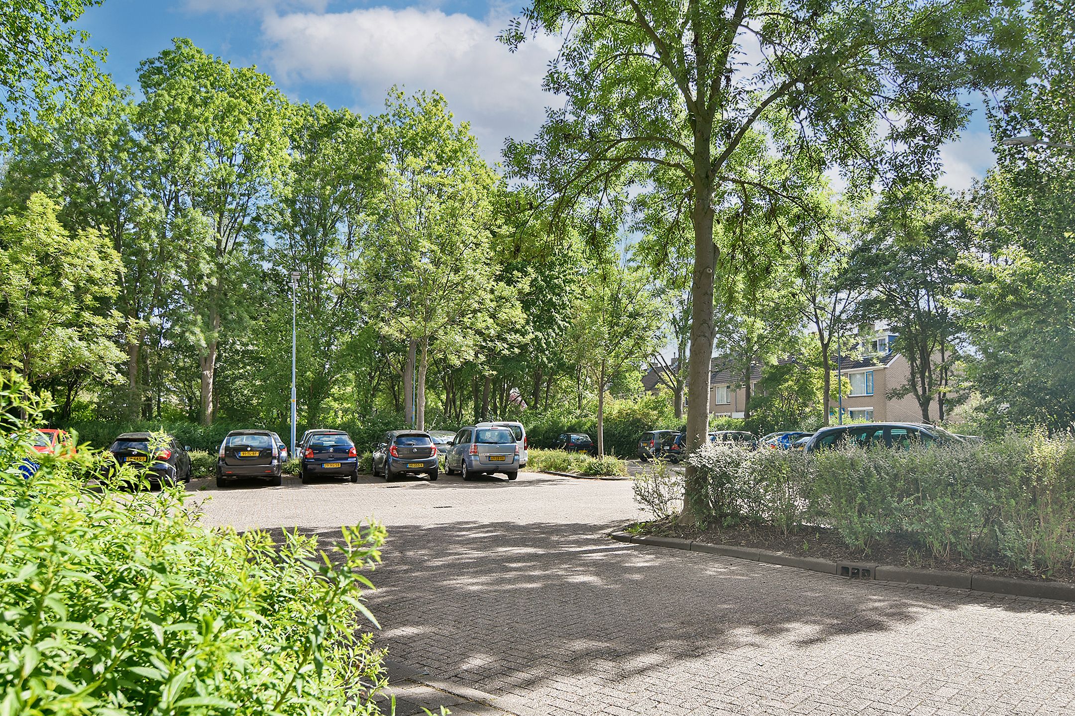 Foto 6 van Graan voor Visch 17263