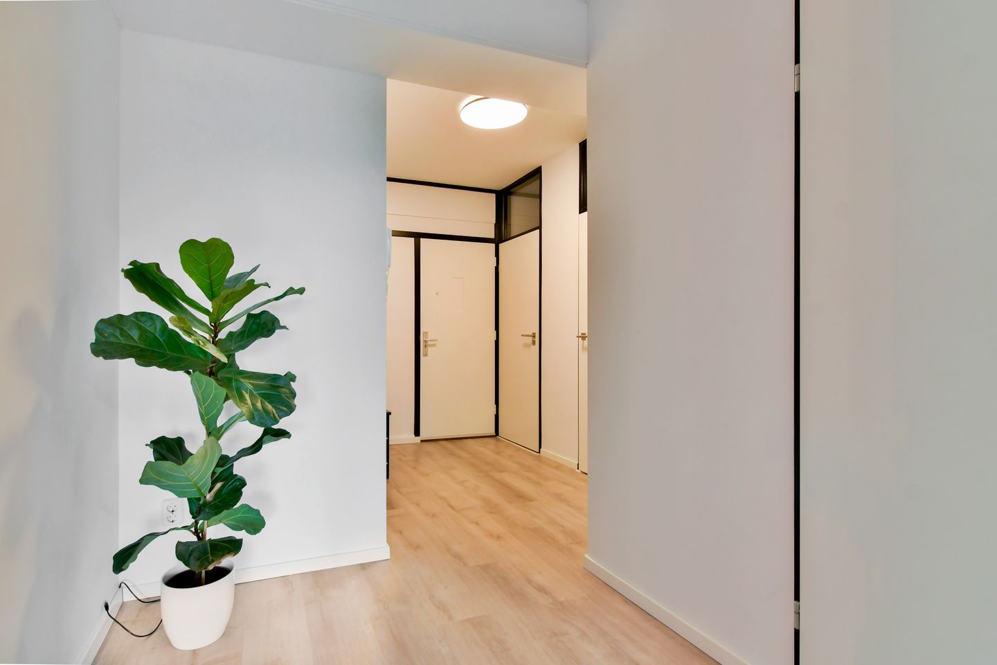 Foto 10 van Graan voor Visch 17263