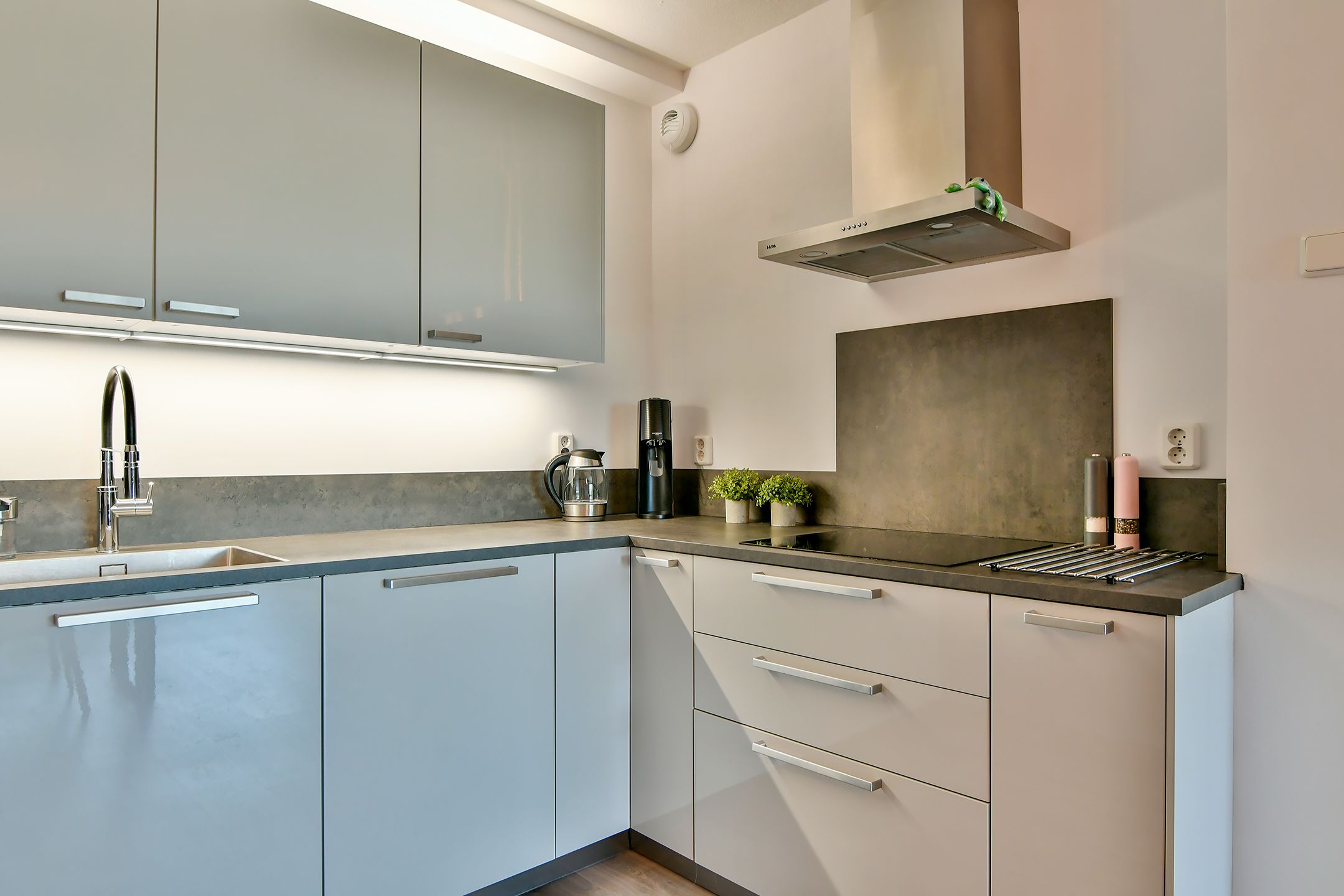 Foto 24 van Graan voor Visch 17263