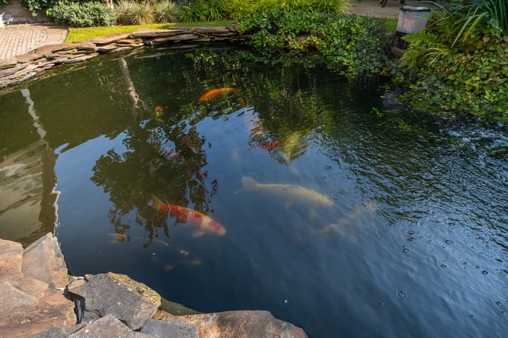 Foto 26 van de Cock van Neerijnenstraat 45