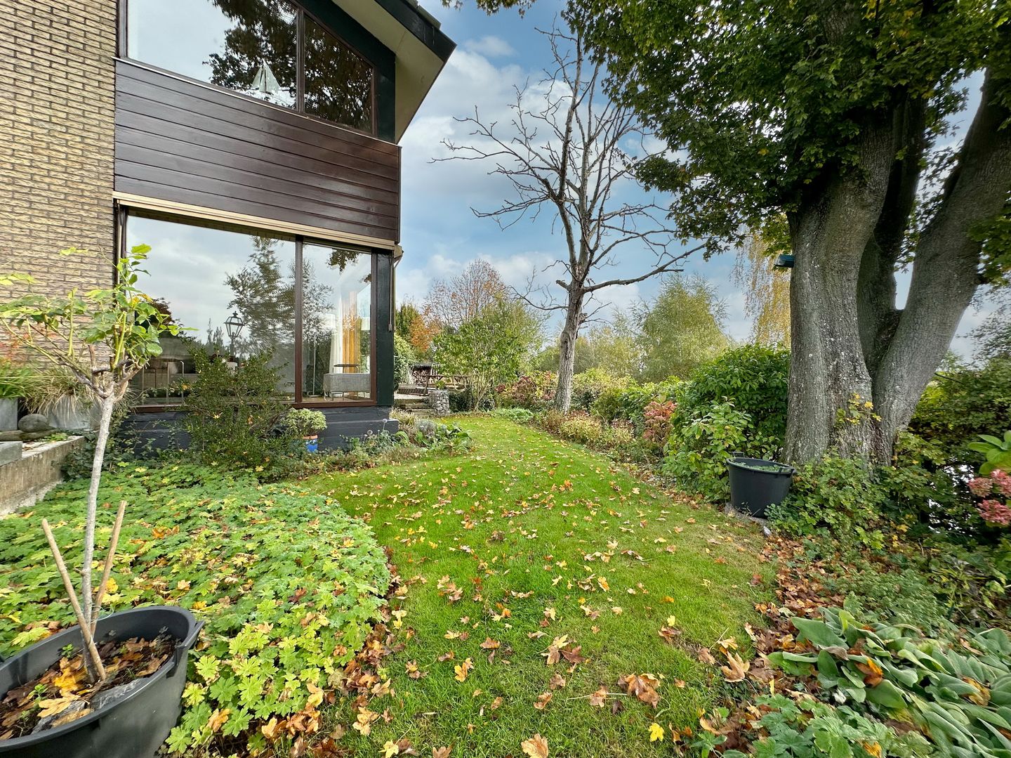 Foto 55 van Dammolen 72