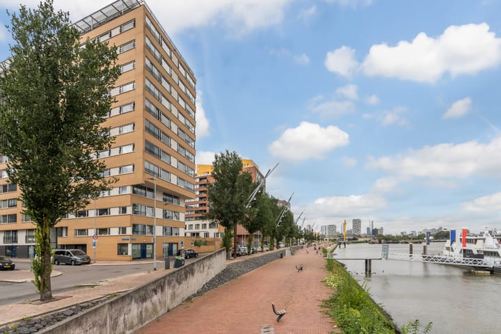 Foto 48 van Adriaan Kooningsstraat 100