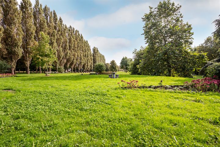 Bekijk foto 42 van Fassbinderstraat 40