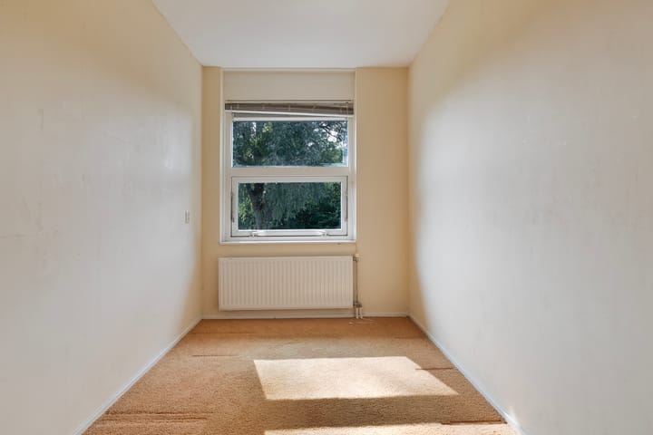 Foto 12 van de Pleats 2