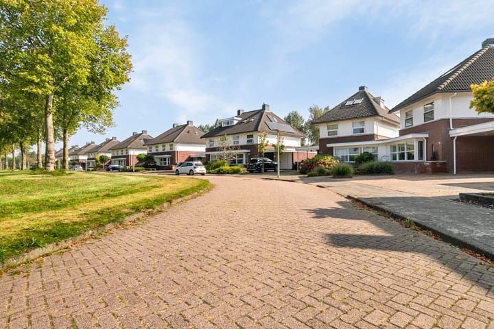 Foto 38 van de Pleats 2