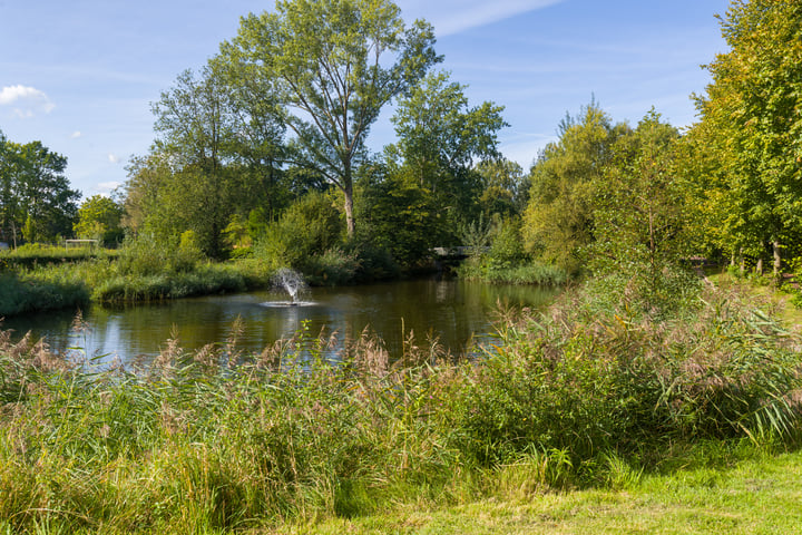 Bekijk foto 30 van Amkemaheerd 288