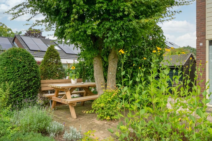 Foto 41 van De Driekoningen 21