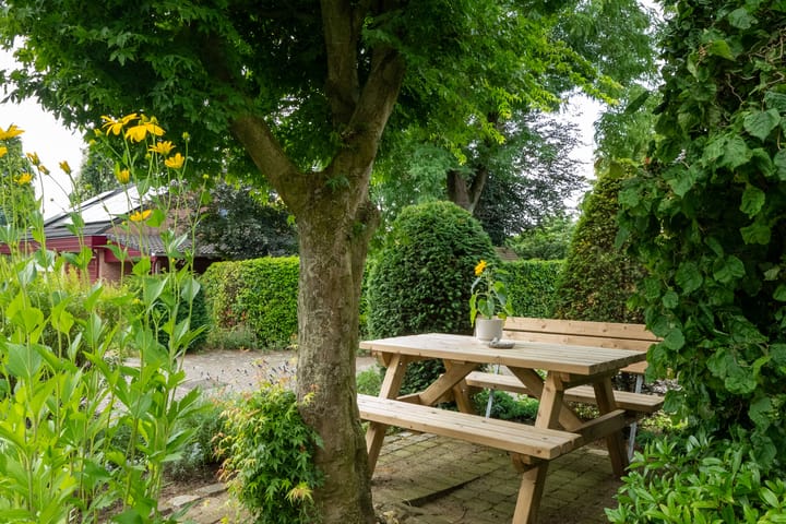 Foto 42 van De Driekoningen 21