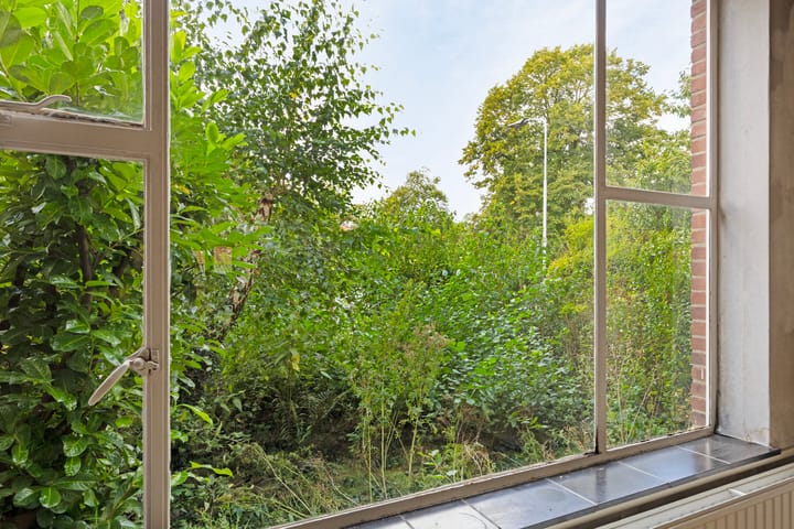 Foto 12 van Carel Vosmaerstraat 100