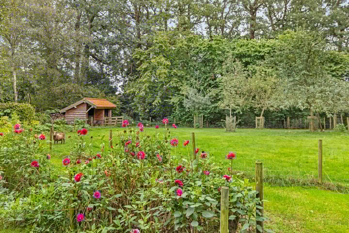 Foto 3 van Rustenburgstraat 1