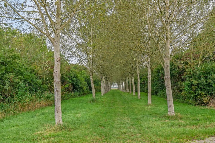 Foto 80 van Provincialeweg 42