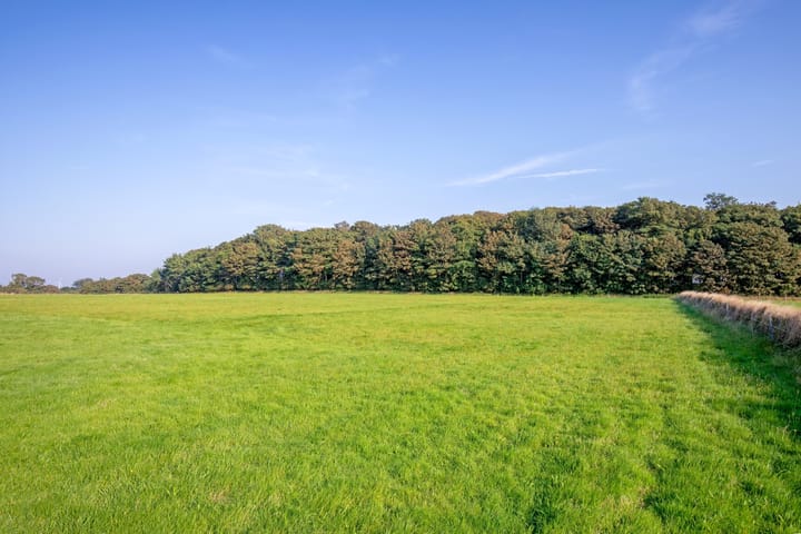 Foto 91 van Skillepaadje 8