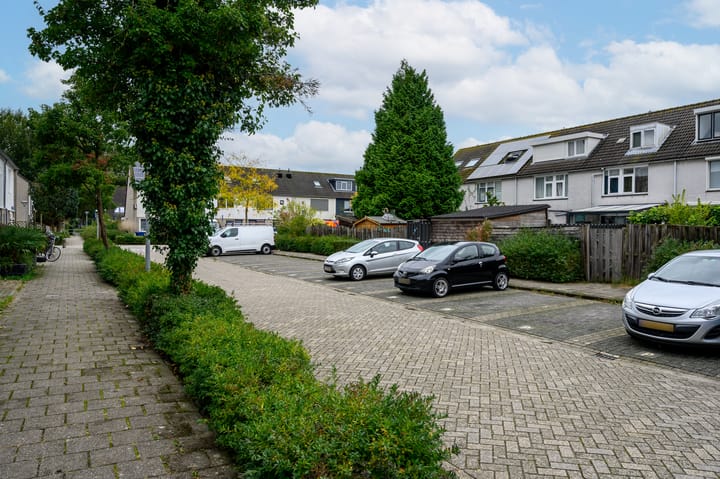 Foto 43 van L.C. van der Vlugtstraat 32