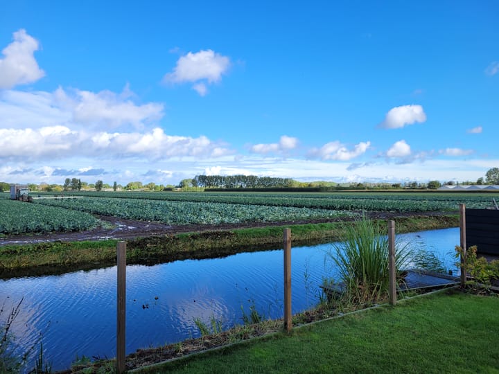 Foto 3 van Kleingouw 87-D