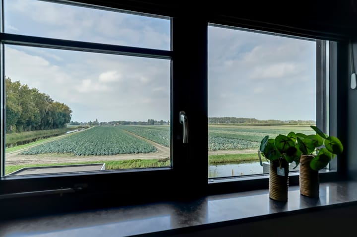 Foto 23 van Kleingouw 87-D