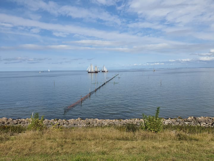 Foto 36 van Kleingouw 87-D