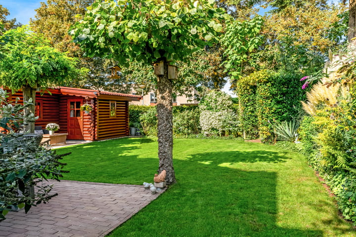 Foto 3 van Koningszuur 9