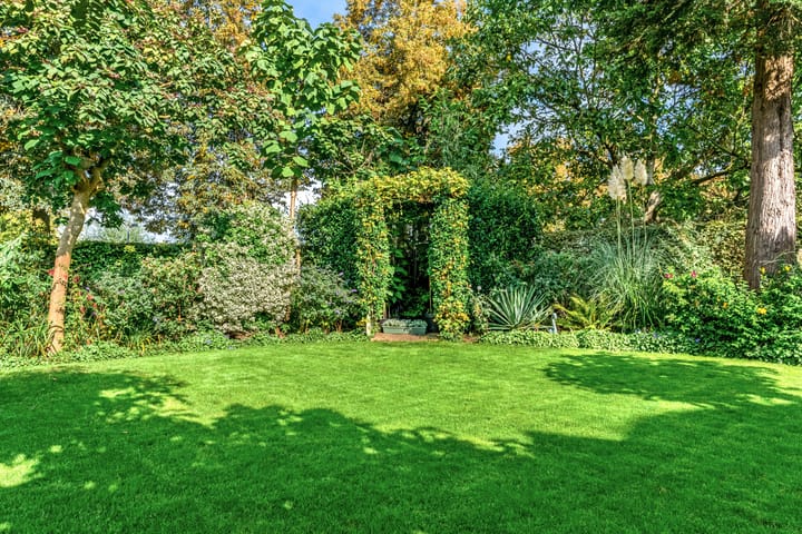 Foto 34 van Koningszuur 9