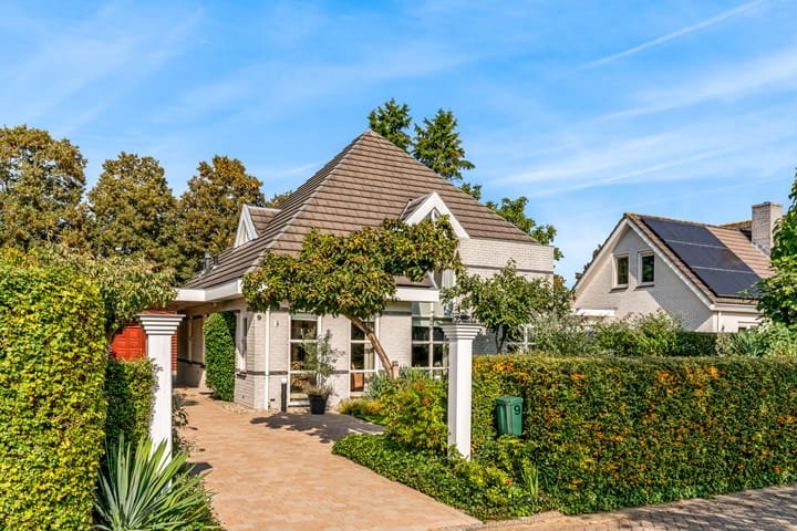 Foto 42 van Koningszuur 9