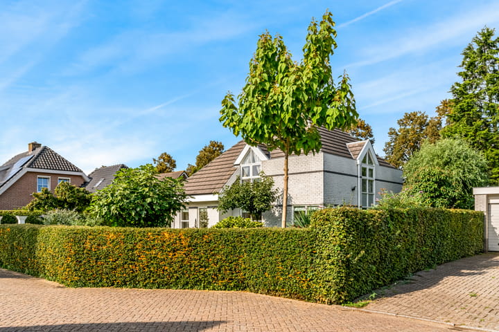 Foto 45 van Koningszuur 9