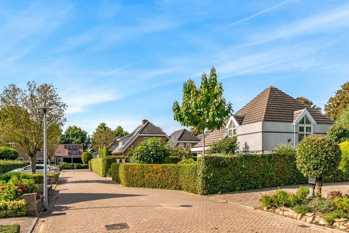 Foto 43 van Koningszuur 9