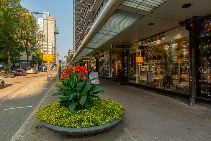 Foto 42 van Kruisplein 1018