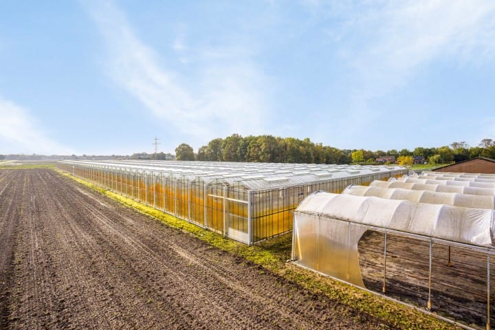 Foto 37 van Vlasvenweg 6