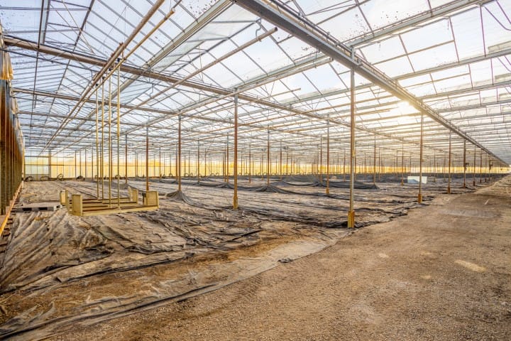 Foto 38 van Vlasvenweg 6