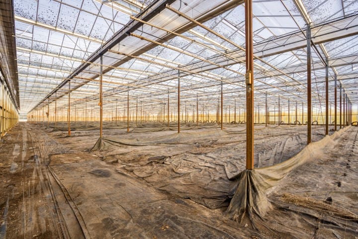 Foto 39 van Vlasvenweg 6