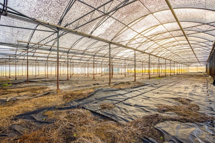 Foto 40 van Vlasvenweg 6