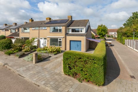 undefined main image