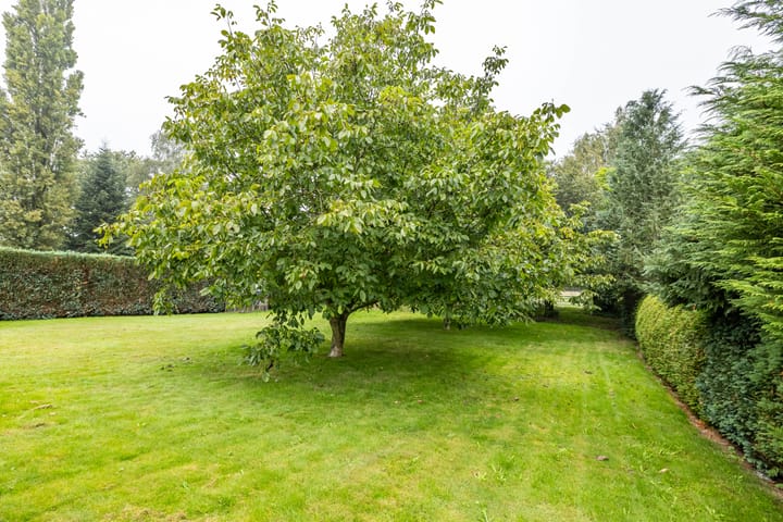 Foto 67 van Havenstraat 3