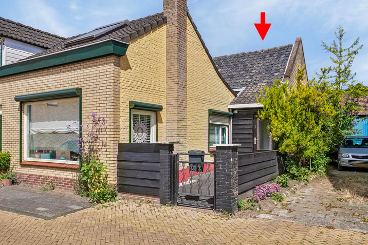 undefined main image