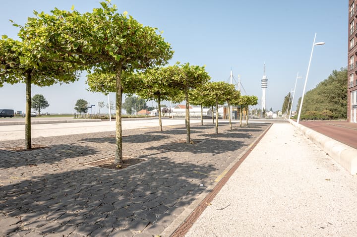 Foto 29 van Lelybaan 48