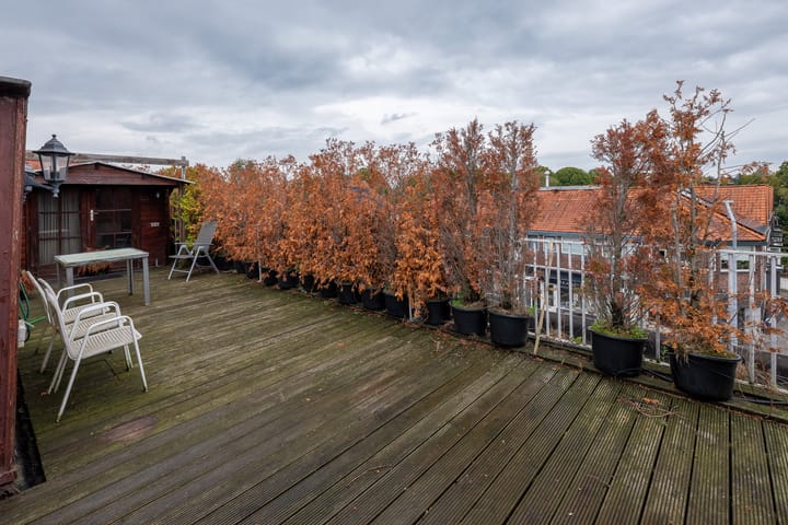 Photo 34 of Hoge Larenseweg 249