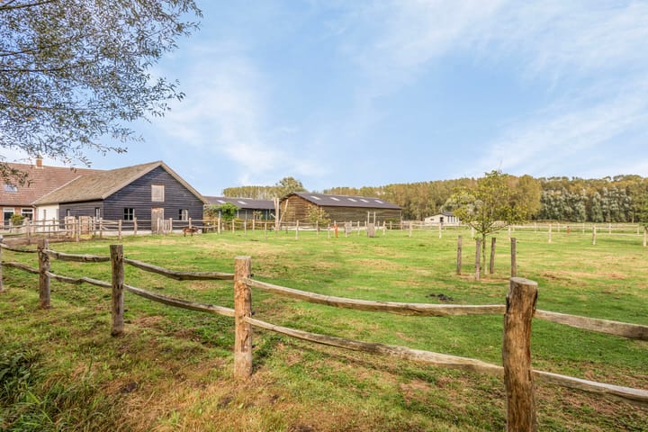 Foto 50 van Houterdsedijk 25