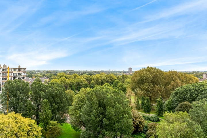 Foto 11 van Van Goudoeverstraat 175